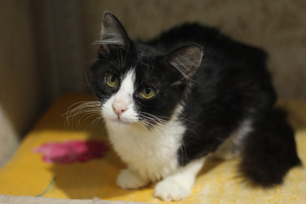 IMG_7212 — копия