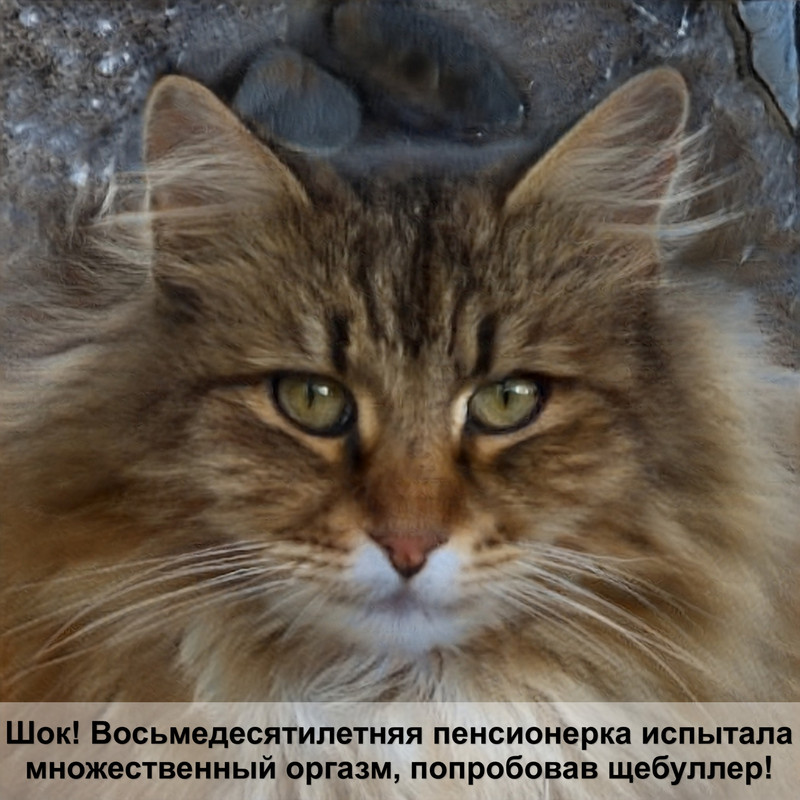 корм ренал для кошек