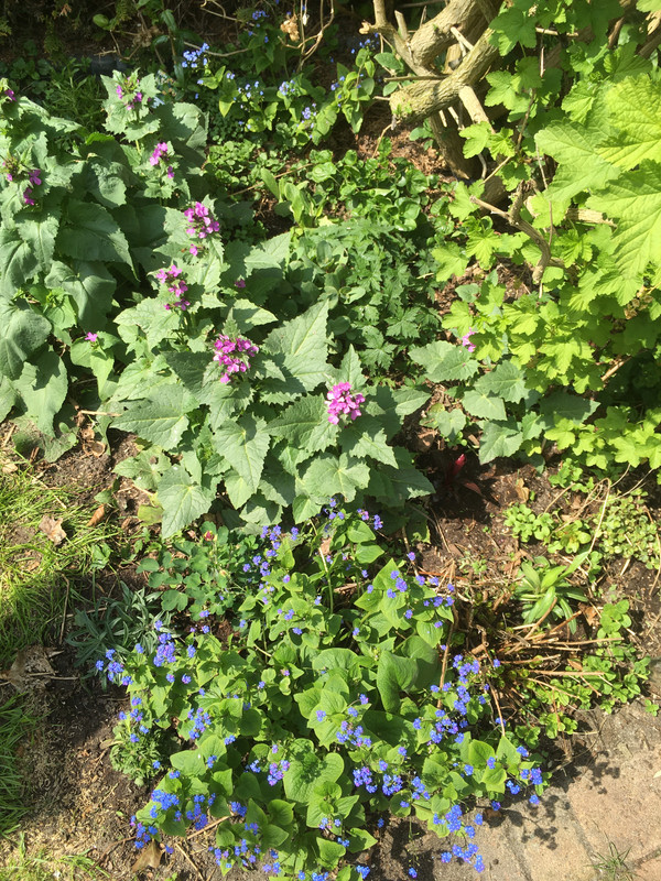 DFB4042A-A749-4C13-B210-002CC5207126