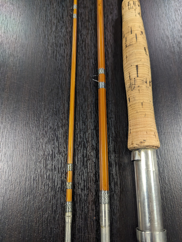 PXL_20240119_224629854