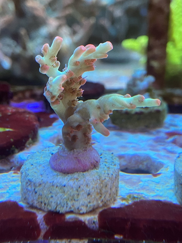 0B3B913E-C107-4024-8D9F-143B8F44747B