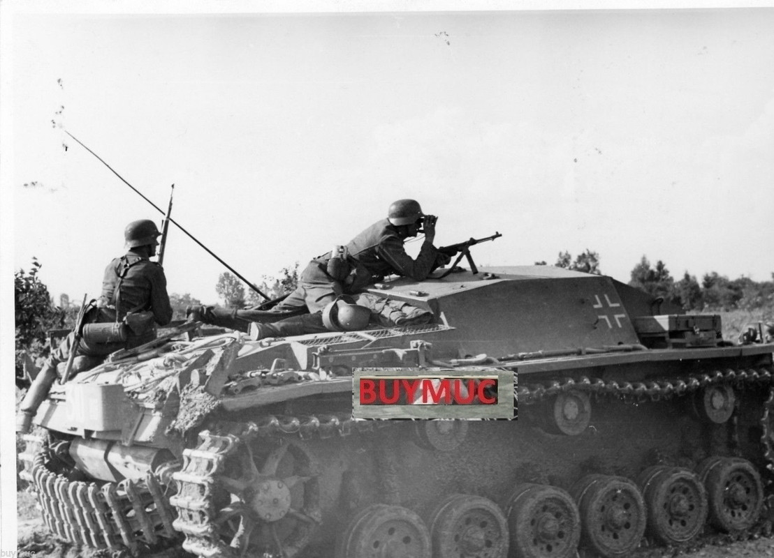 LARGE FOTO PANZER TANK STURMGESCHÜTZ IN GELENOWK