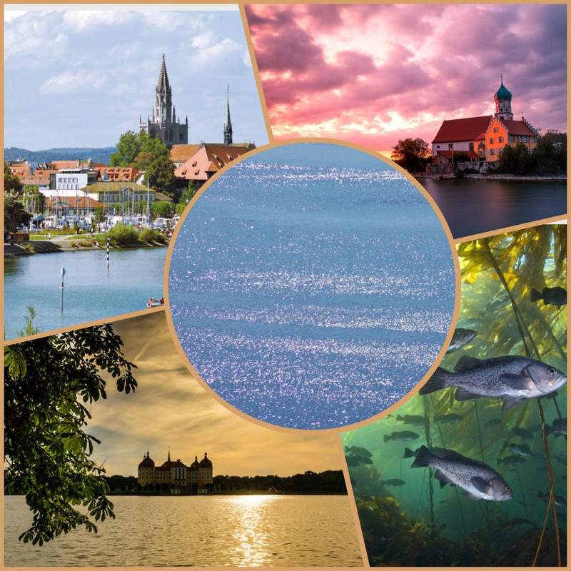 коллаж_бодензее_серебро