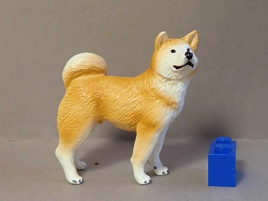 2021 STS Dog Figure of the Year! Eikoh79837-Shiba