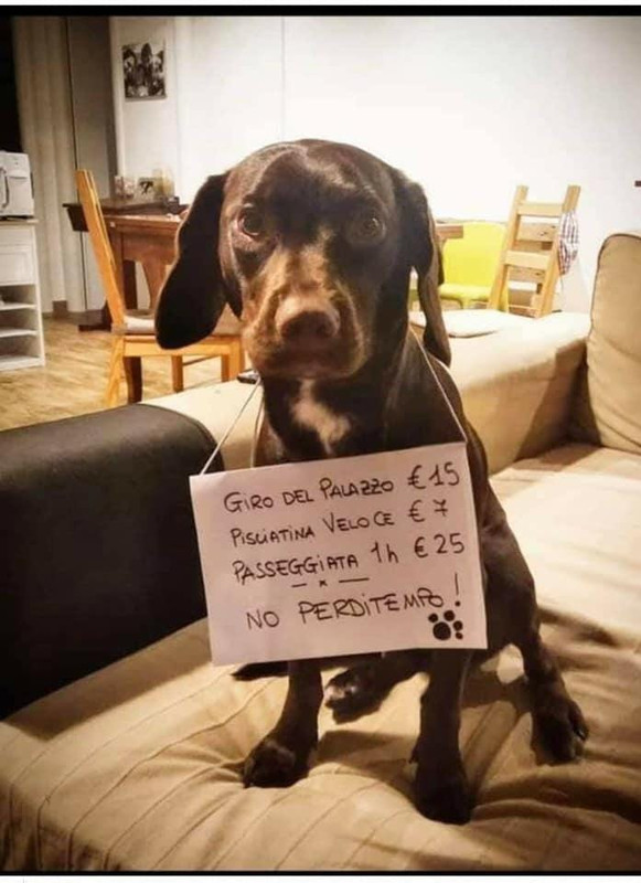 https://i.postimg.cc/PxY200t4/Italy-3.jpg