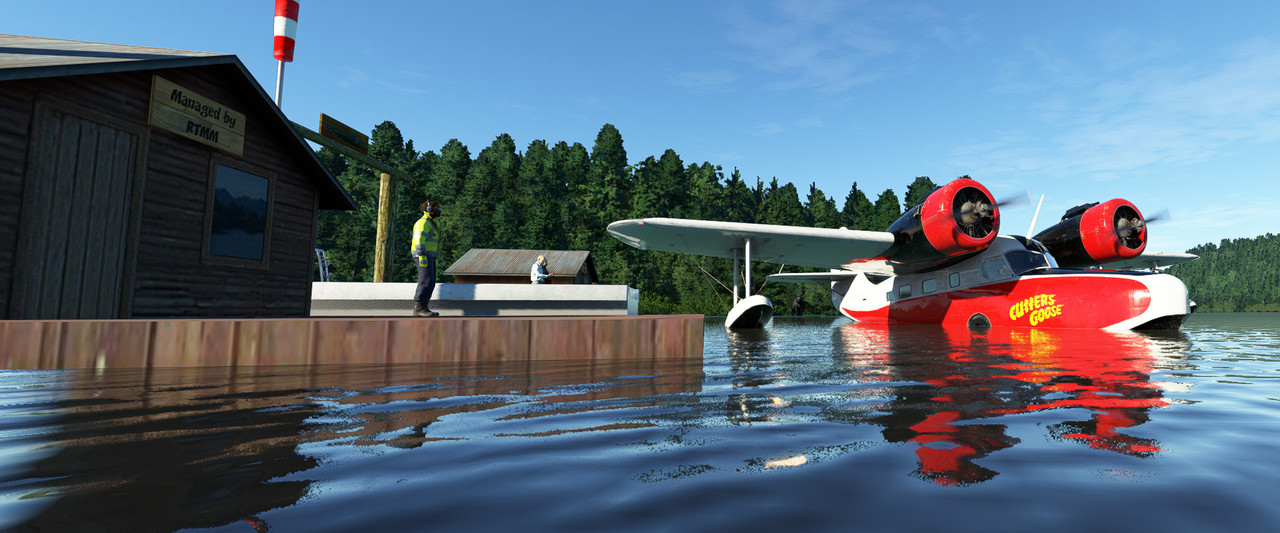 Goose-1.jpg