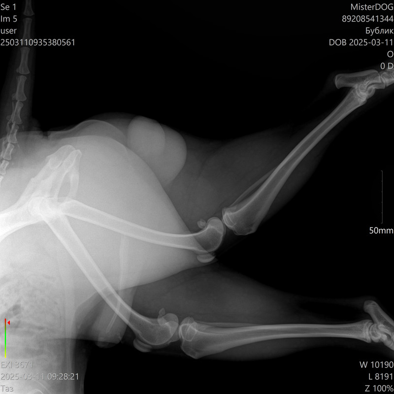 89208541344_Бублик__11-03-2025 09_28_21_1-5