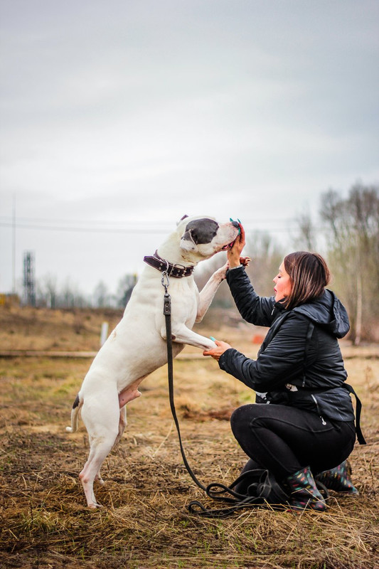 без имени-1094