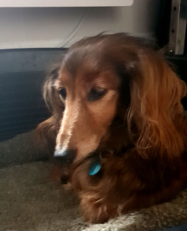 [Image: 20221030-102228.jpg]