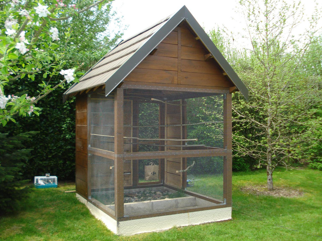 023 Perchoirs posés