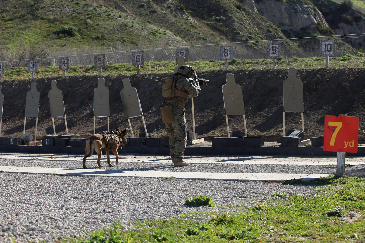 U.S. MARSOC multipurpose canine handlers11