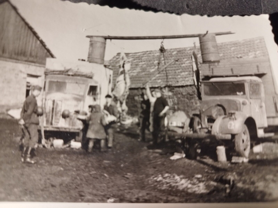 Schlächterkompanie Russland 1943 Fahrzeuge Regt Kennung Gekreuzte Säbel