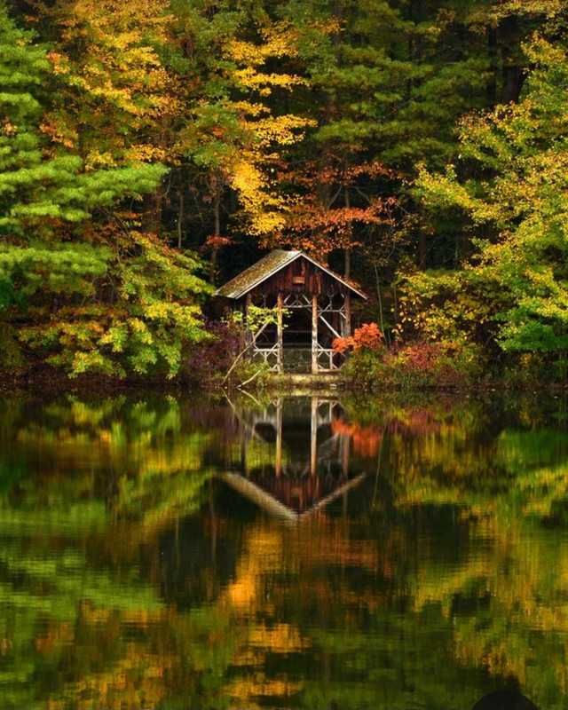 Screenshot_20231112_231336_Pinterest