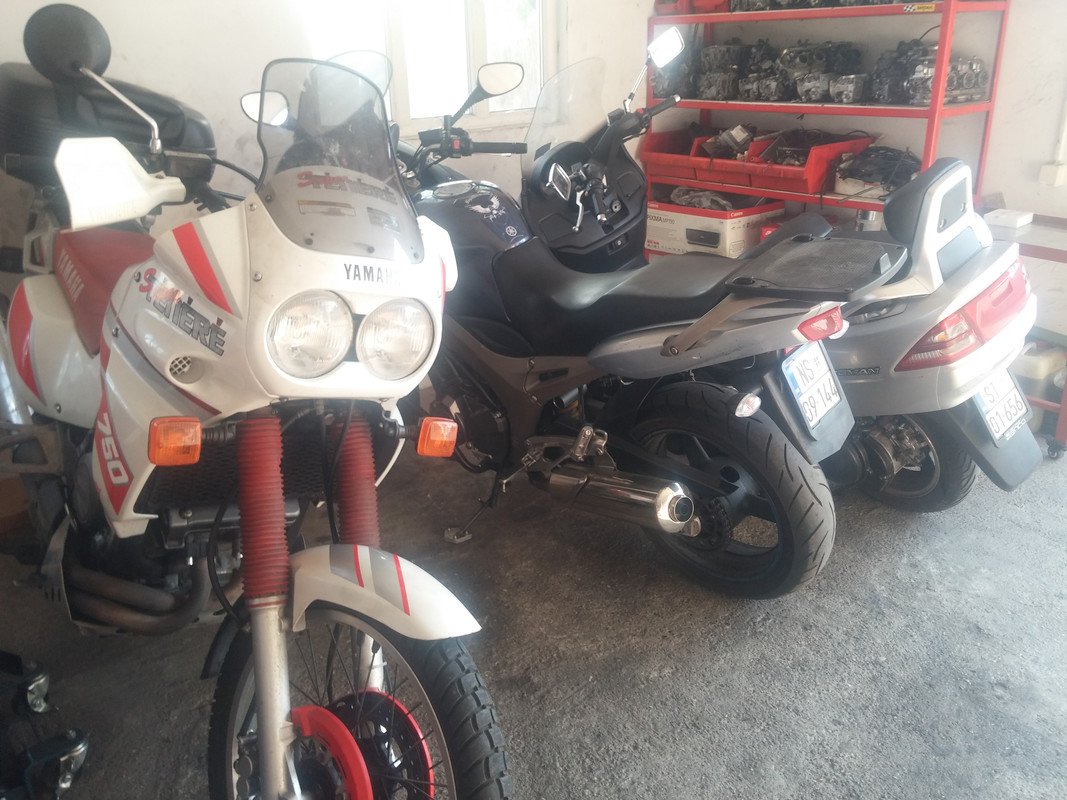 CAM02658
