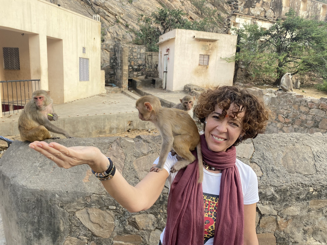 Etapa 9 - De Pushkar a Jaipur: Templos, ofrendas y monos. - India: Un viaje esperado después de la pandemia (6)