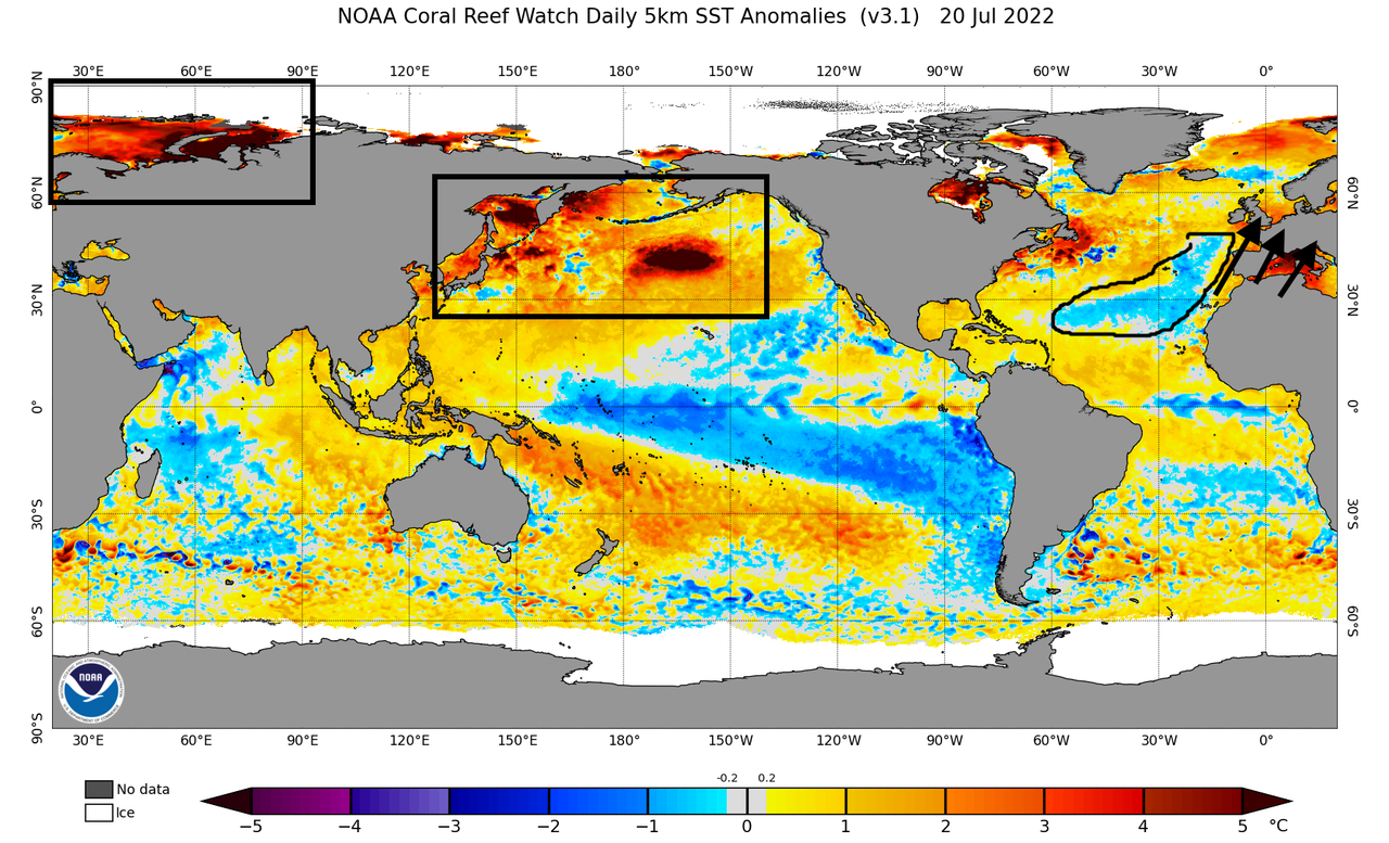 ssta-daily-current.png