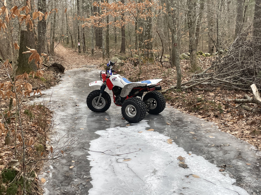 B728A7B4-7F3A-4C5C-A7CD-74CC322DFFAE