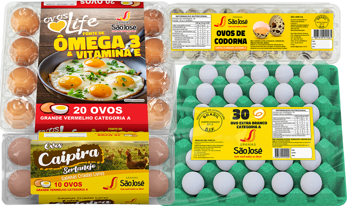 Embalagens de Ovos Granja São José