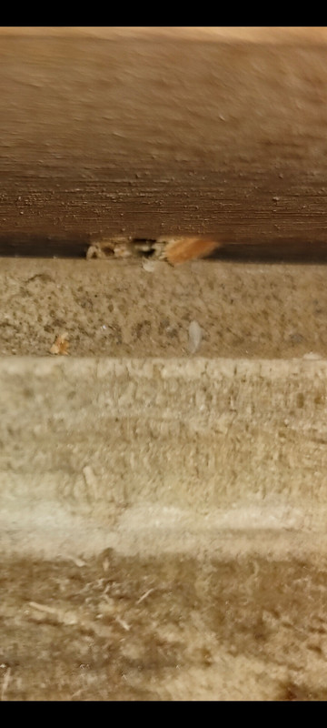 Screenshot_2021-04-04-14-09-28-37