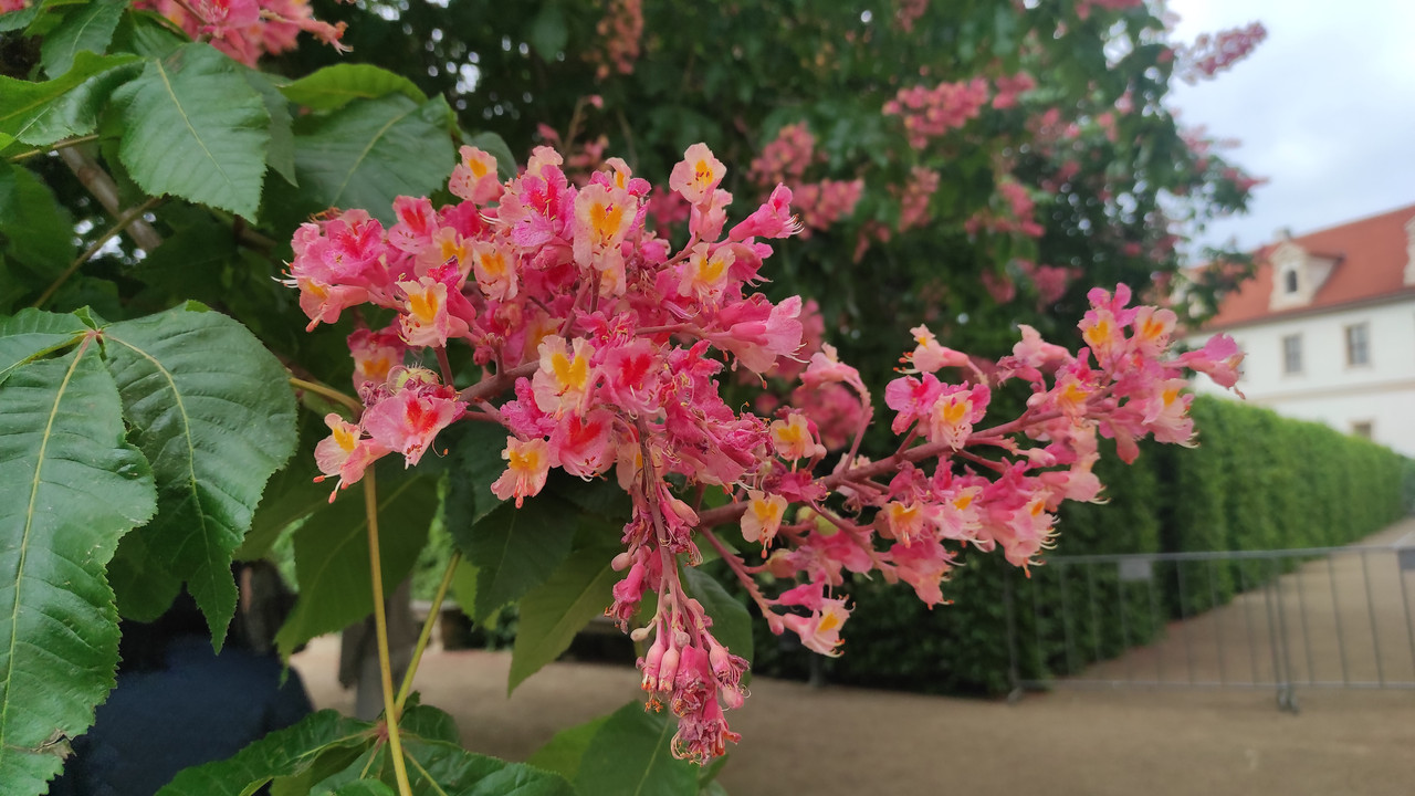 09.21 - IMG_20240504_094905 (Czesio1)