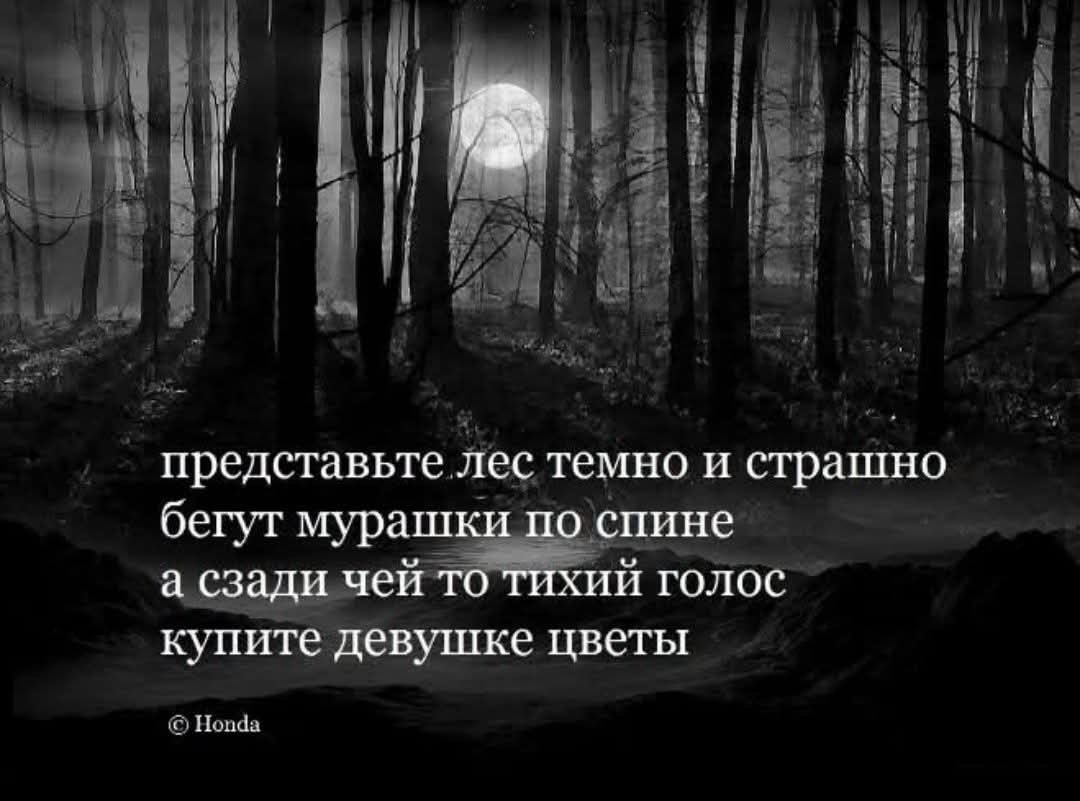 FB IMG 1776411895637