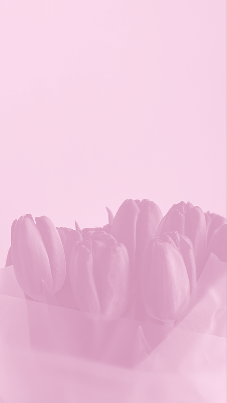 Tulip bouquet