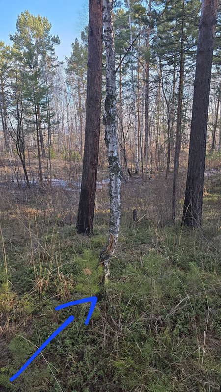 IMG2 25042026 073356