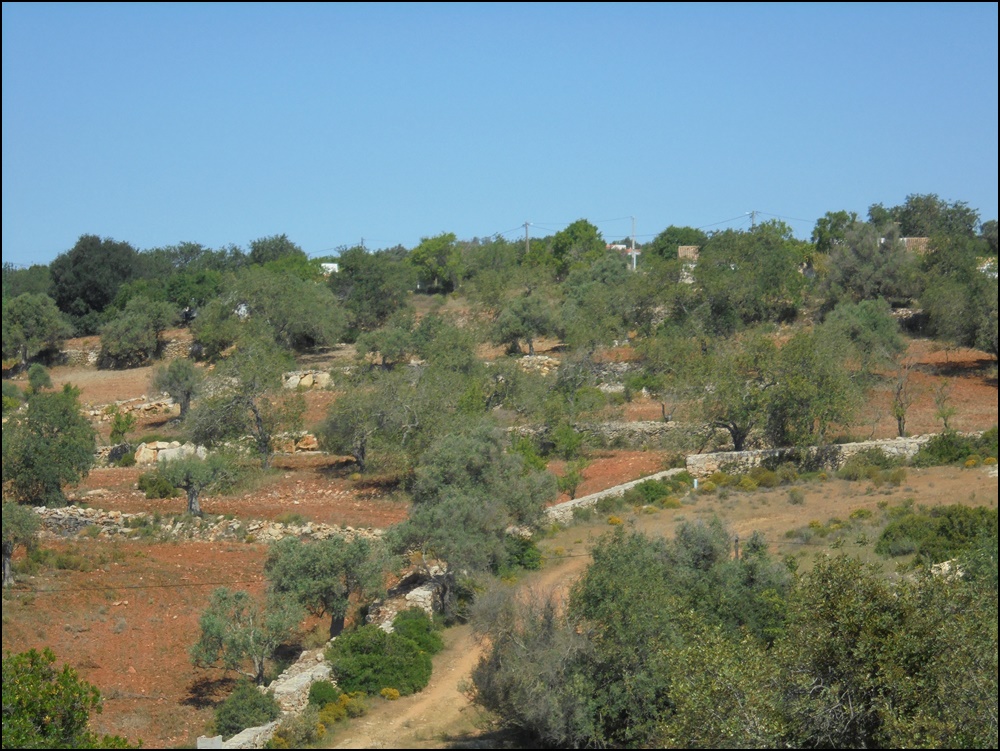 DSC09816