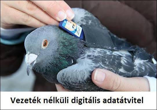 https://i.postimg.cc/PxbjffMC/vezeteknelkuli.jpg