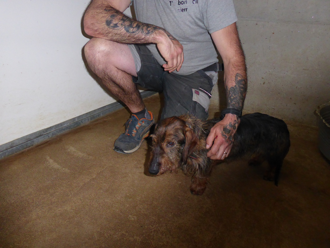 [Image: P1020967.jpg]