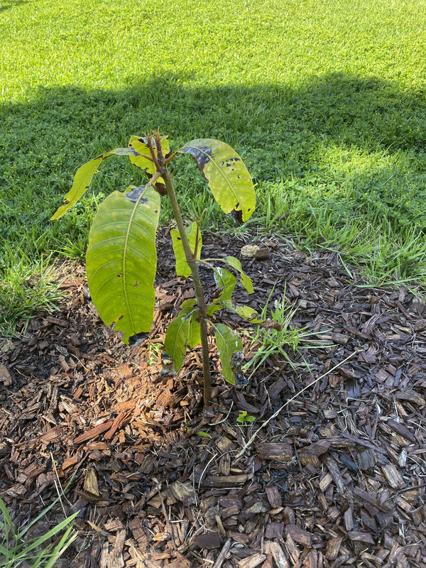 8A642C9B-266A-4974-ADCD-FED698DDD7C3