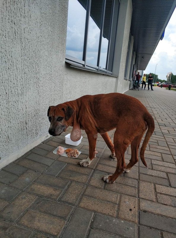 C6696B71-5138-4939-AB02-D55BCD2B70DC