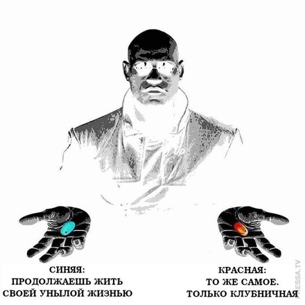 [Изображение: photo-2026-05-01-08-12-37.jpg]