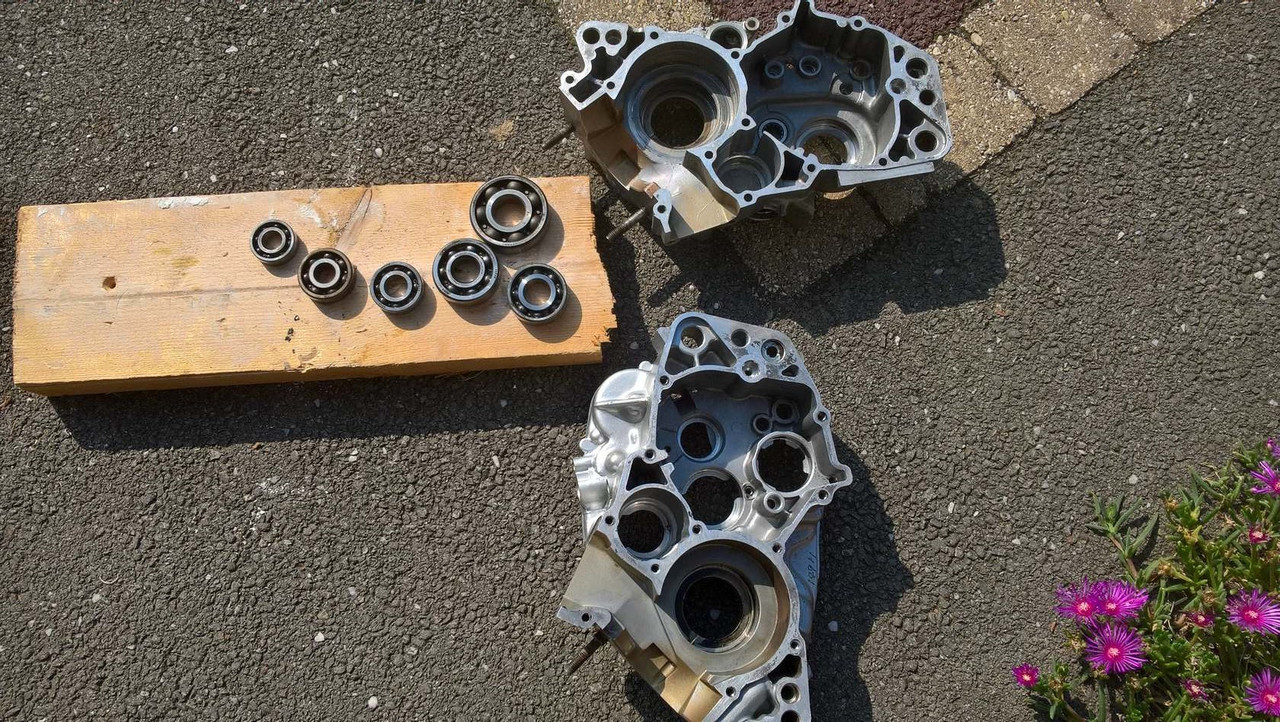 WP_20190827_11_37_51_Pro (Copier)