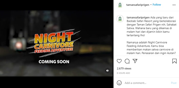 Taman Safari Prigen akan segera menghadirkan wahana baru bernama Night Carnivore Feeding Adventure.