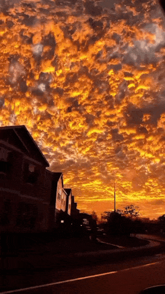 GIF-20240710-092721-155.gif