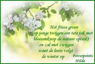 Het-frisse-groen