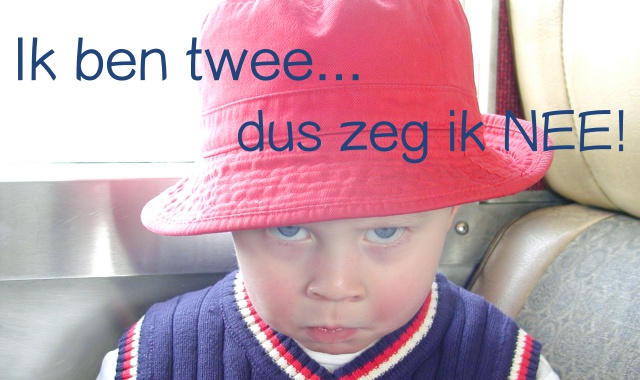 tweeisnee.jpg