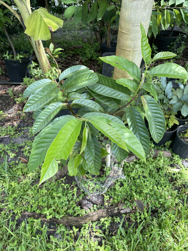 2B683209-78C6-43A3-90F8-B4E5CDE83DE4