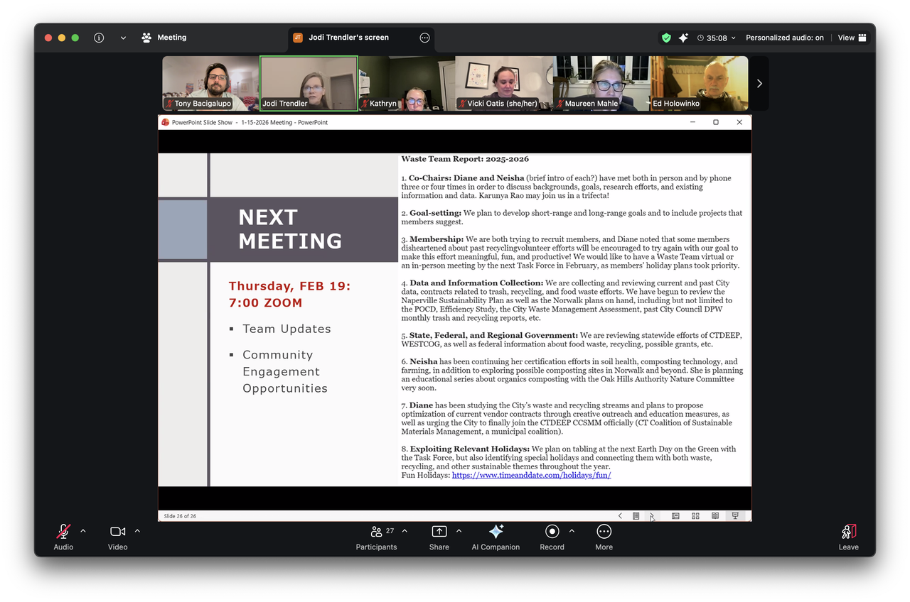 Task force meeting online session 2
