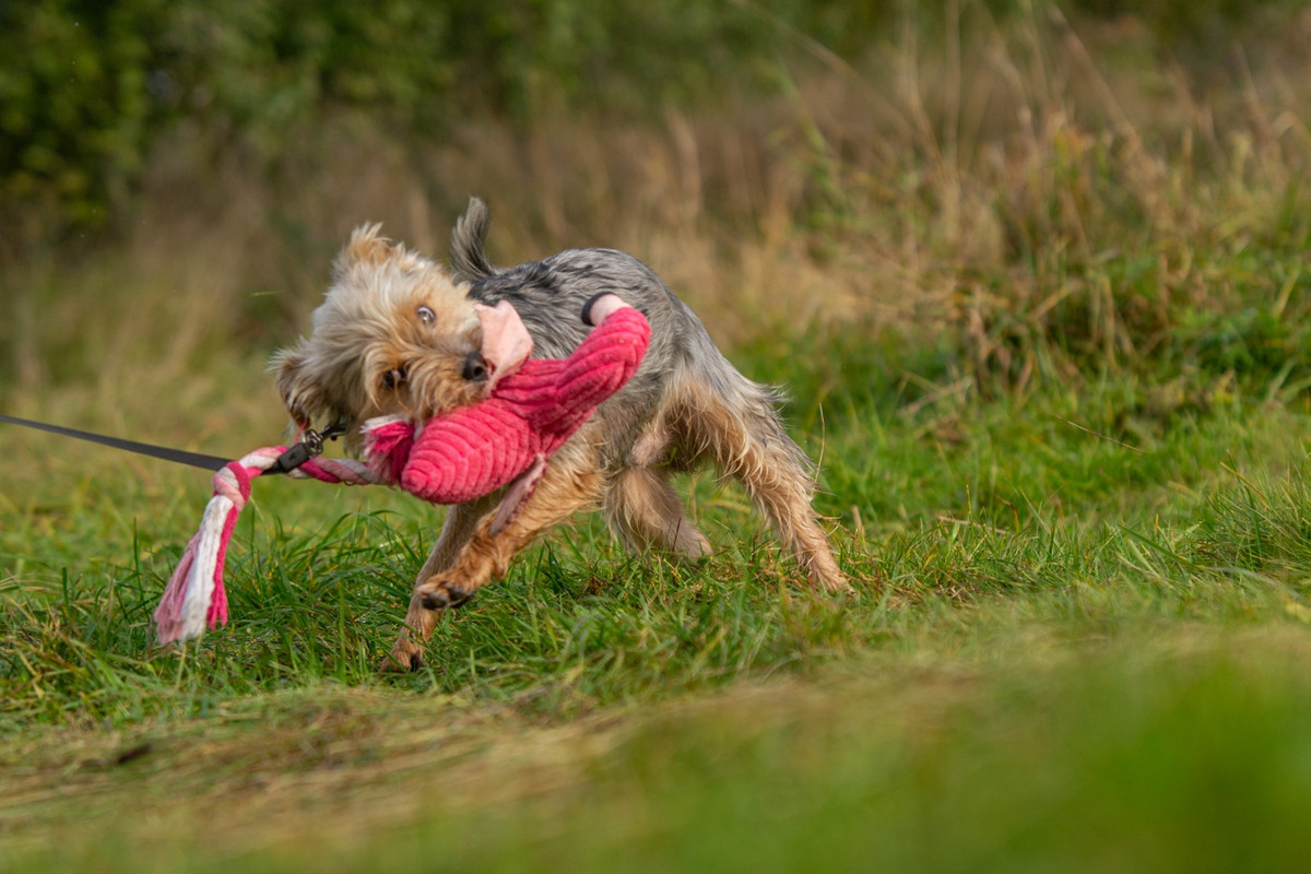 Y33dHFnbVx1mM4gUJ0LfV9lbZb212nbdlOK2ae40DkrxQ0w6qRHXoWW1x8e48wQzR8031QUO4lInj-Fp8PTlz48_