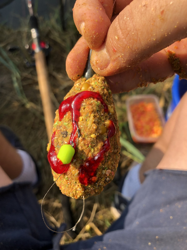 F4469DF6-898A-4F2C-99CA-F3DAEB1A79D7