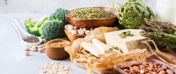 Plant-based Protein