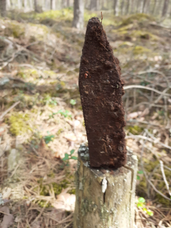 20210514_113531 – kopio