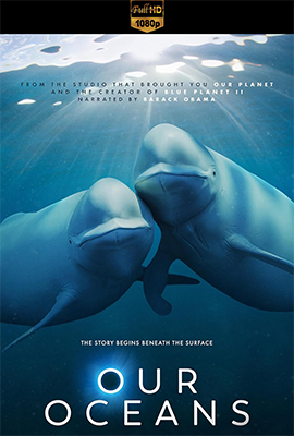 Oceani del mondo - Stagione 1 (2024) [Completa] WEB-DL 1080p E-AC3 ITA ENG SUBS
