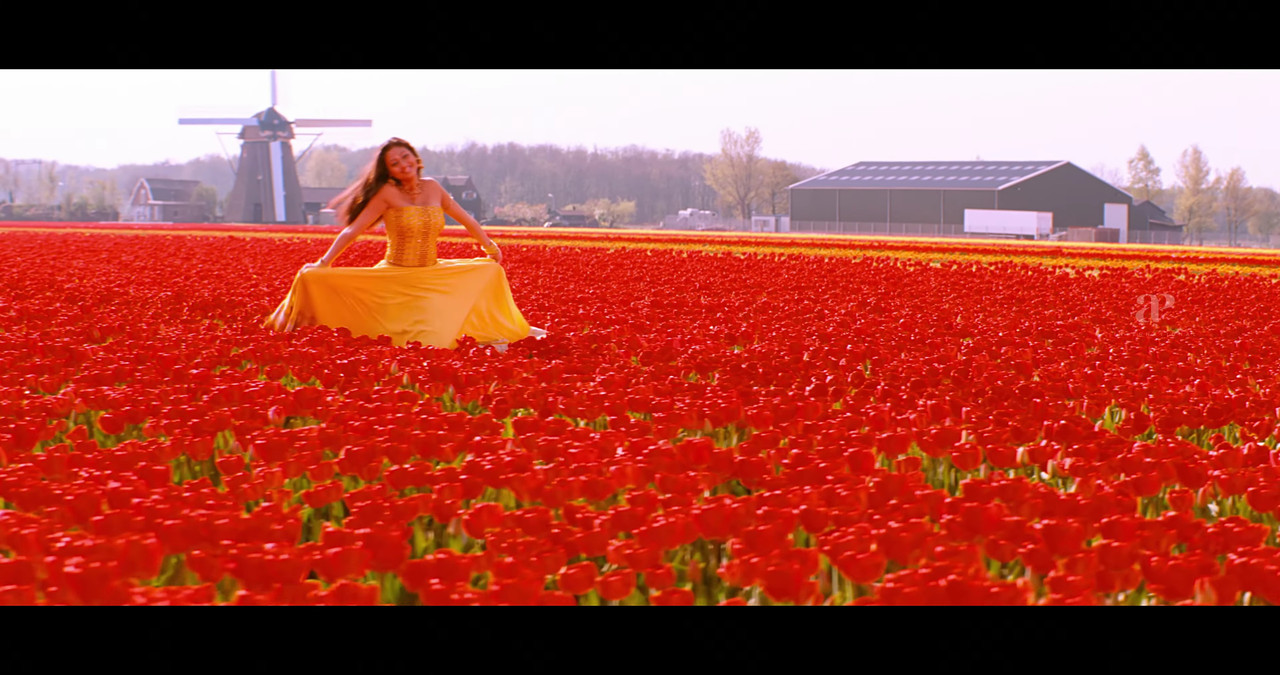 VideoCapture_20241122-200342