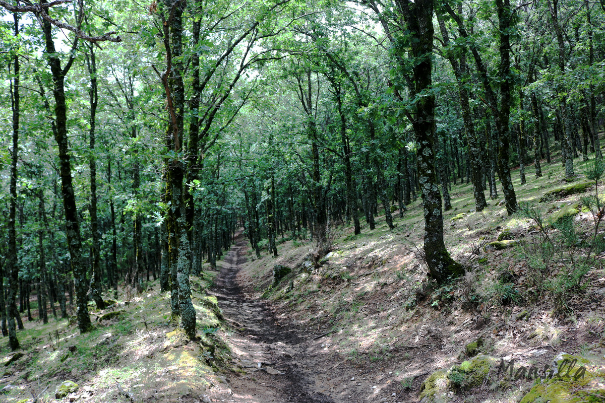 Navacerrada-Cercedilla-07