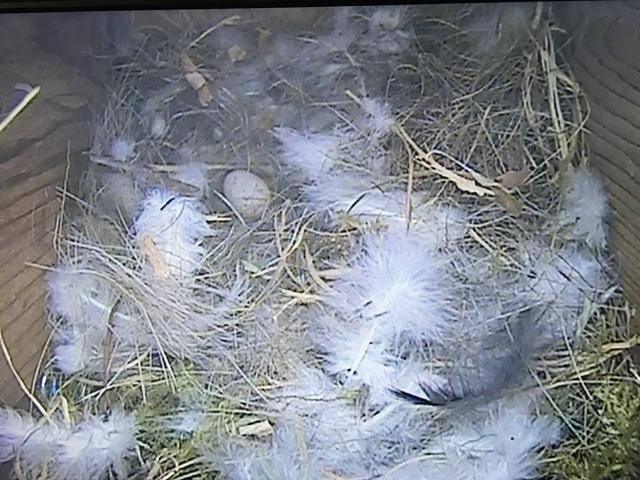 7D8F9052-1471-4ECE-BD08-86E36689B7BF