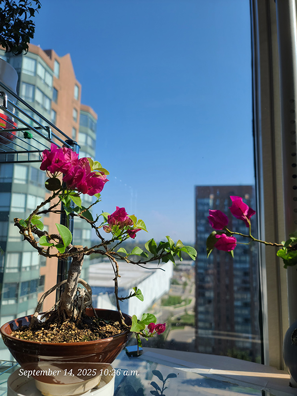 [Image: 20250914-102627.jpg]