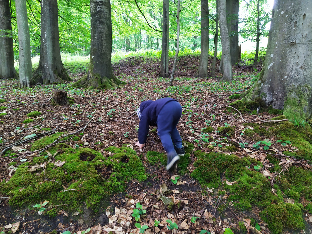 IMG-20201221-120442.jpg